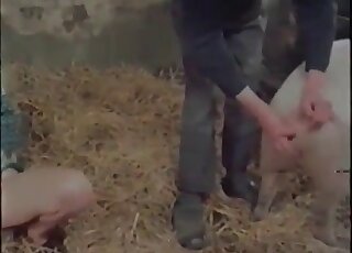 Adorable dark-haired gal gets fucked by a pig