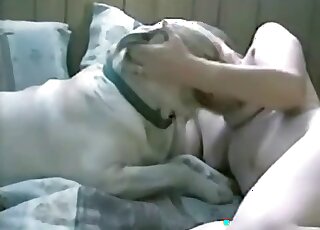 Bestiality with a fat bitch