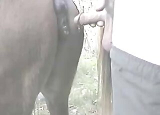 Large penis destroying a tight opening on cam