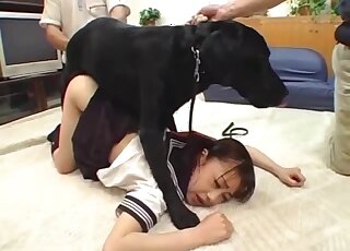 Beautifully trained animal likes nasty bestiality sex 