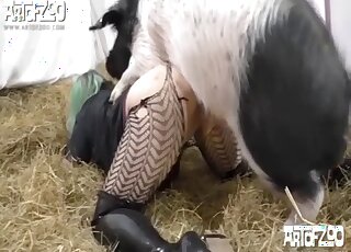 Green-haired bitch fucking her fave pig here