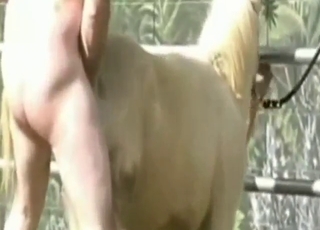 Bestiality porn with two stepbrothers and mare