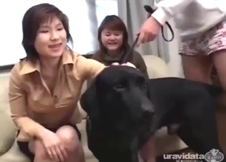 Bestiality porn shows tight Asians fucking dog