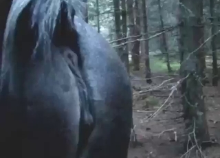 Black mare is about to get fisted by a guy