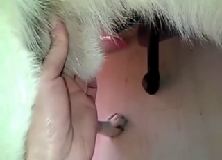 Animal is about to spray cum like a firehose