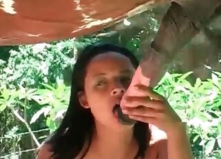 Brunette orally servicing a horse
