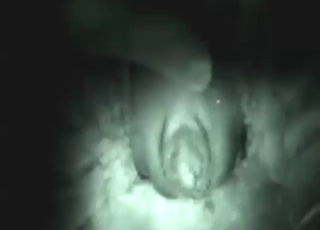 Nighttime mare fuck that makes the beast scream