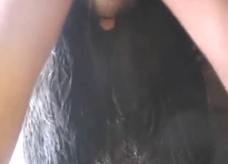 Pony pussy gets pounded by a horny fucker