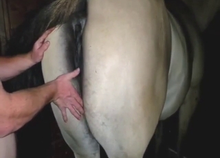 Nobody can possibly withstand that mare cunt