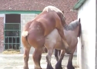 Mare is going to get off with hard screwing too