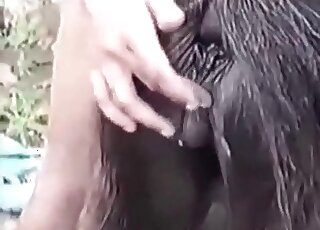 Awesome black pony in amazing amateur bestiality XXX