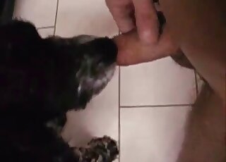 Homemade Zoophilic XXX sex looks so great