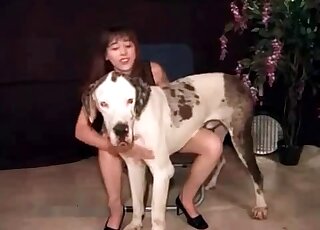 Amateur homemade bestiality XXX with trained beasts