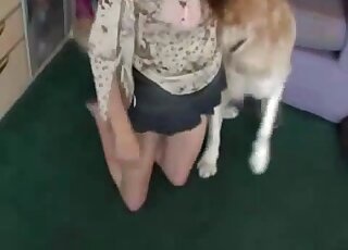 Large Labrador is dominating the pussy of a horny zoophile slut