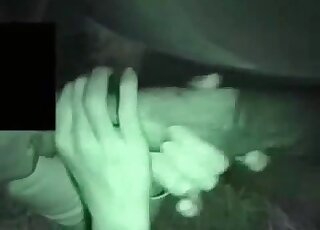 Playful babe sucks a hard farm penis in the night