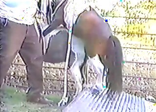 Sweet small pony nicely fucked at the local farm