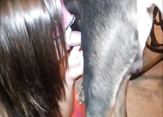 A stunning brunette is sucking a massive dick on the cam