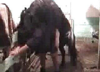 Tiny pony fucks some zoophilic bitch