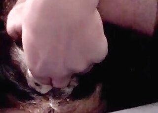 Taboo man fuck animal scene with a large cumshot 