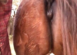 Awesome beast fuck scene with intense oral